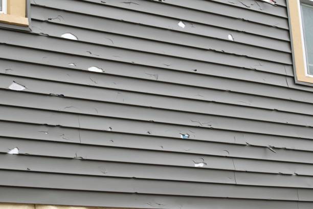 Trusted Elko, NV Siding Services Experts